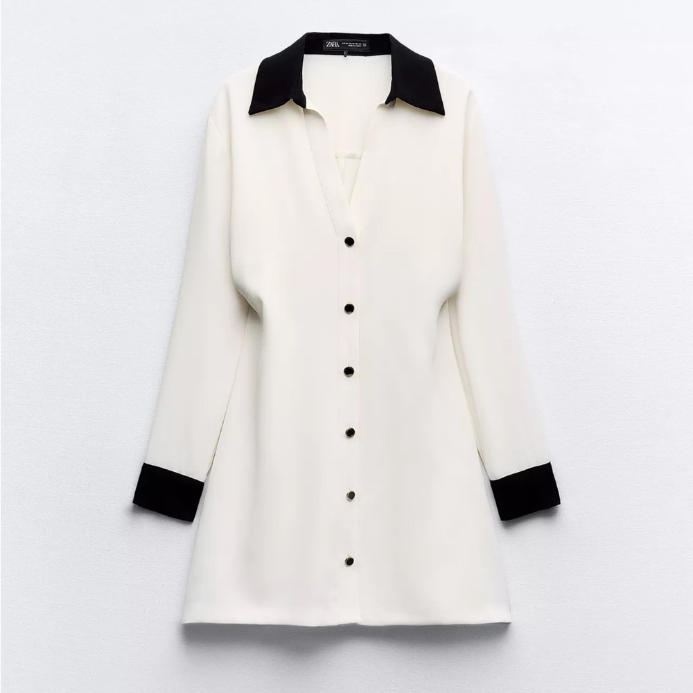 Zara Black and White mini dress